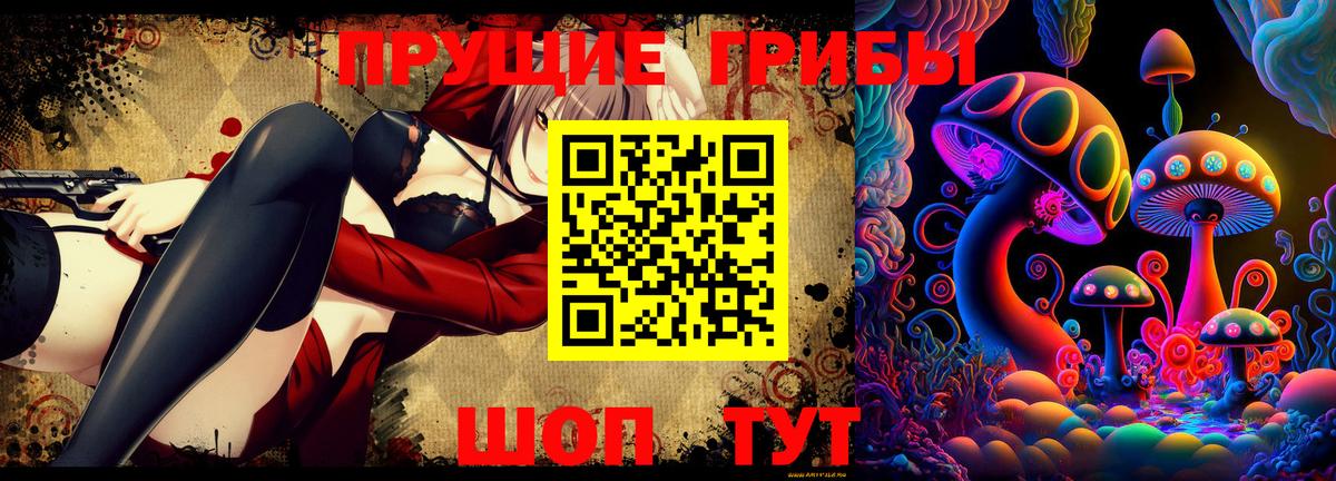 Галлюциногенные грибы Psilocybe  Вход с VPN  Псилоцибиновые грибы мухоморы  Мирный 