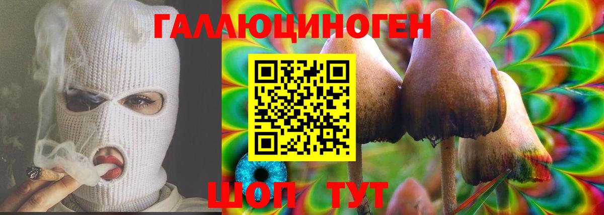 Галлюциногенные грибы мухоморы Мирный